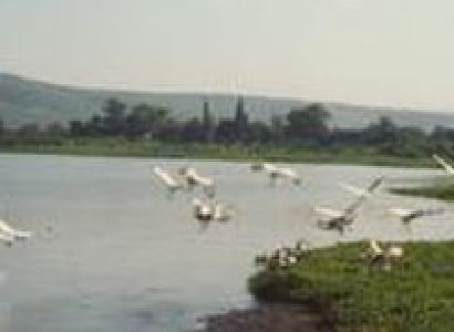 Kenya Wilderness and Tented Camp Safari Tour