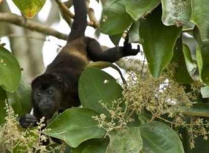 Panama Discovery Tour