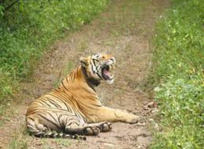 02 Night & 03 Days Sariska Tour Package