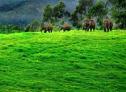 Kerala Tour Package.