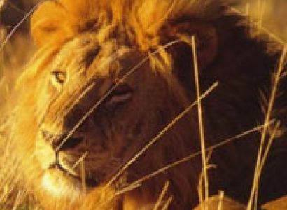 3 Countries Explore 2013