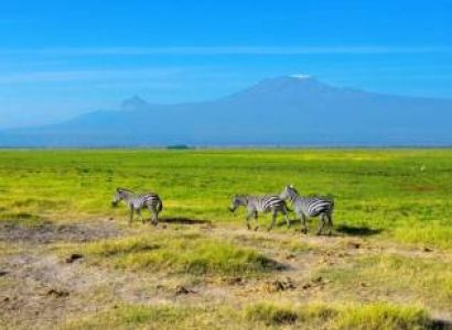 7-Day Amboseli - Hell’s Gate - Lake Naivasha - Masai Mara Mid-Range Tour