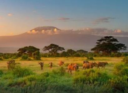 2 Day Amboseli National Park Mid-Range Tour