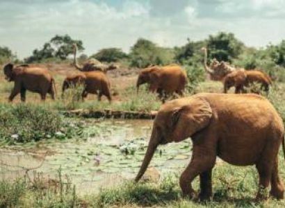 4-Day Tsavo East - Amboseli - Taita Hills Tour From Mombasa