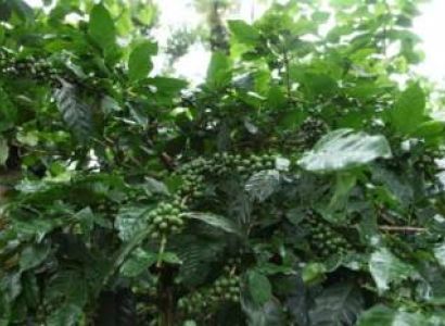 Madurai Package Tour 2