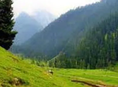 Kashmir Honeymoon Tour