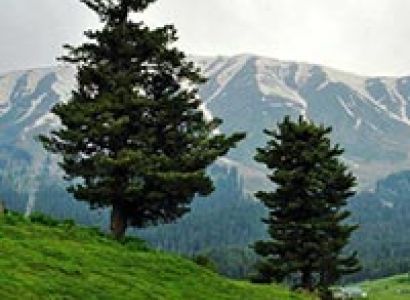 Amarnath Yatra with Flights Tour