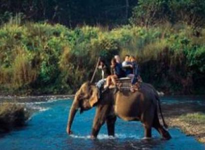 Wildlife Safari Bardia in National Park