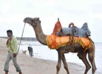 Amazing Tour of Kutch