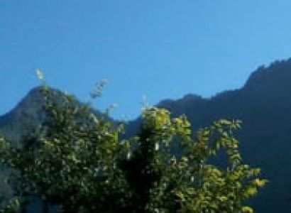 Basic Yoga Tour in Latoda Hut Jibhi