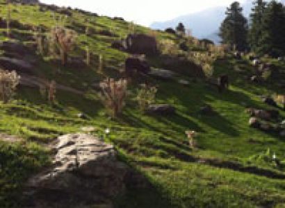 Chandigarh - Manali - Jibhi - Shimla - Chandigarh Tour