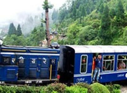 The Orchid Home Package