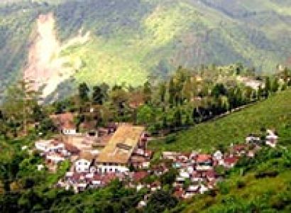 Makaibari Experience Tour