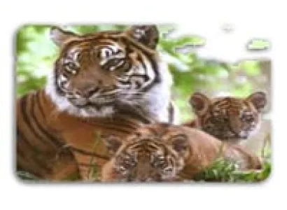 Corbett Weekend Tour 