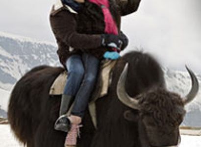 Pardise Himachal With Amritsar Tour