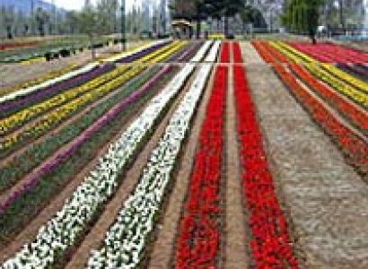 Jammu - Katra - Patnitop - Srinagar Tour