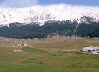Patnitop - Srinagar - Pahalgam - Delhi Tour