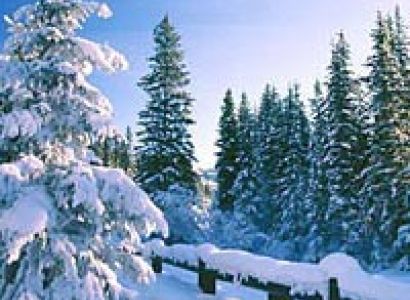 Kurukshetra - Shimla Tour