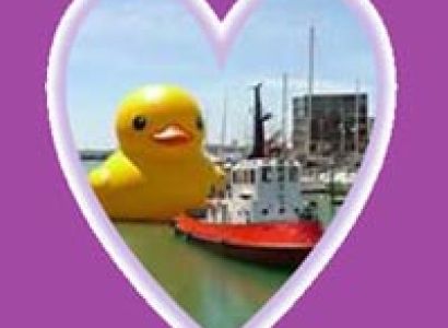 Hong Kong - The Amazing Holiday Tour Of Disneyland