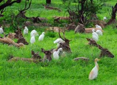 Explore Arunachal Pradesh Tour