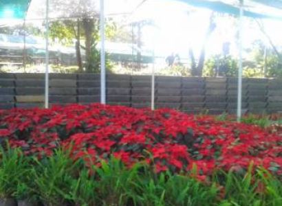 Mahabaleshwar Package