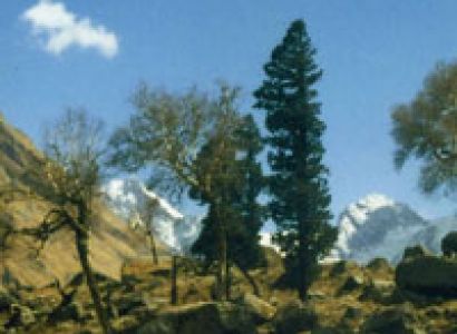 Har-Ki-Dun Trek (Garhwal - Himalayas - Moderate Trek) Tour