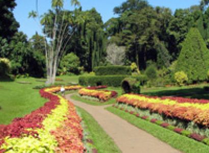 Sri Lanka Tour Package