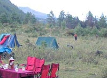 Group tour to Bhutan