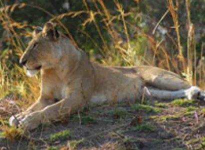 Rift Valley - World wonder Tour