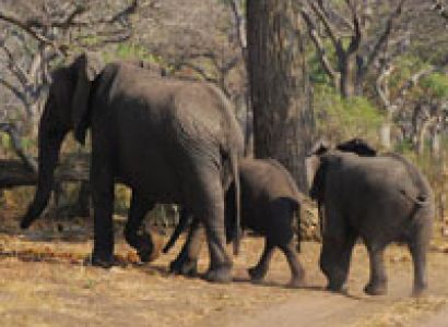 Amboseli/Rift Valley & The World Wonder