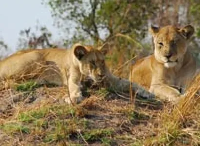 Kenya Highlight Tour