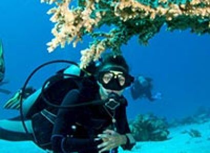 Andaman Family Package