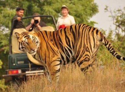 Corbett Nainital Tour