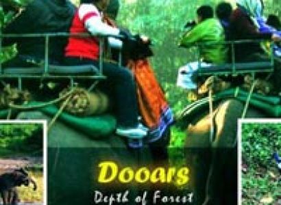 Dooars / Lataguri / Gorumara Package Tour