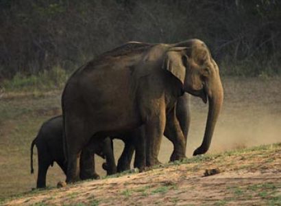 Really Spice Lands Tour