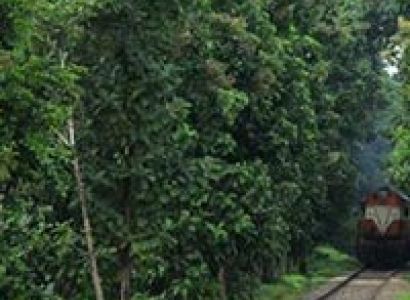 Lovers Paradise Tour