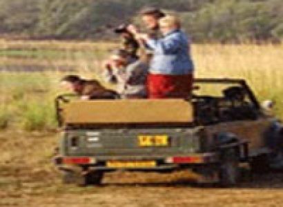 Golden Triangle with Tiger Tour