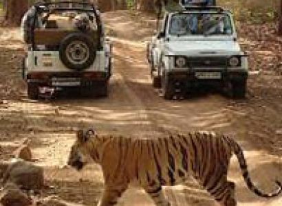 North and Central India Tour with National Park
