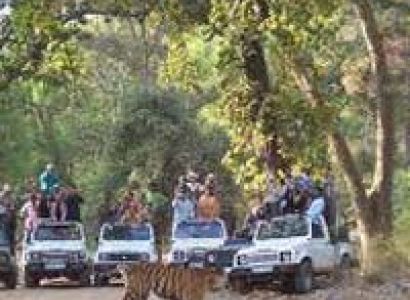 Bandhavgarh - Khajuraho - Bhedaghat - Kanha - Jabalpur Tour