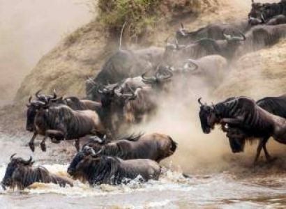 4 Days Great Migration Safari with Camping in Masai Mara, Kenya Tour