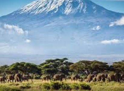 7 Days Maasai Mara, Lake Nakuru, Lake Naivasha, and Amboseli Best Experience Safari in Kenya Tour Image