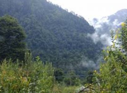 Kasol and Manali Tour 3 Nights /4 Days Tour