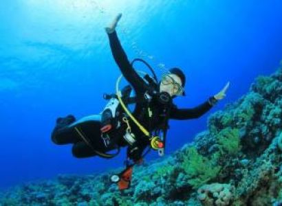 Scuba Diving Tour