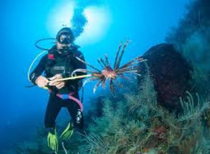 ONE NIGHT TWO DAYS PACKAGE  - Rs. 3000/- (Non. AC)