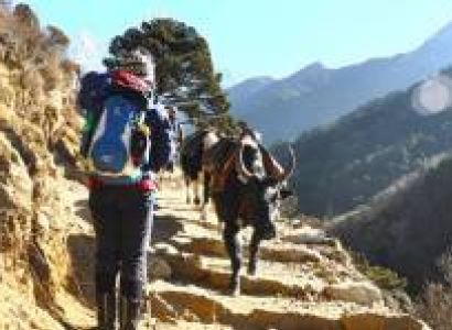 Everest Base Camp Trek | 13 Days Everest Base Camp Trek Tour