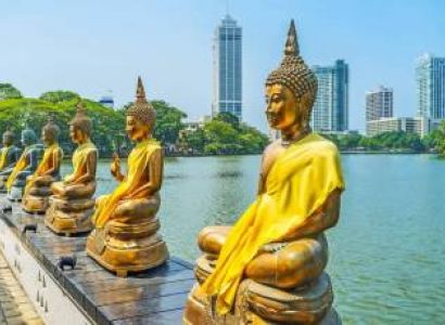 Sri Lanka Turtle Conservation Program Tour