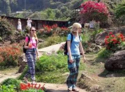 Chiang Mai Volunteer Program Tour