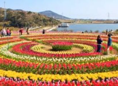 4 Nights 5 Days Tulip Festival Delight