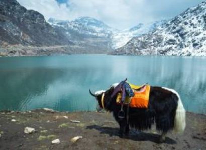 Gangtok and North Sikkim Tour