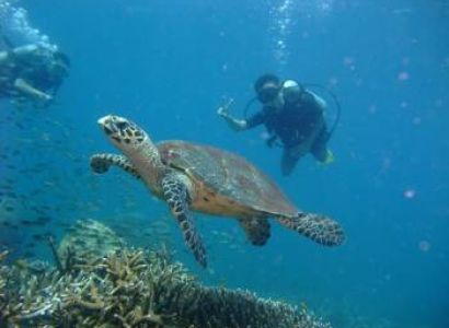 One Night Two Days Scuba Diving Package